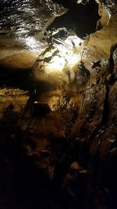 The cavern definitely drips more in some areas when it rains, but it never floods! Ohio Caverns is open seven days a week 10am-4pm RAIN or SHINE! Tours depart about every 20 minutes daily. | Ohio Caverns