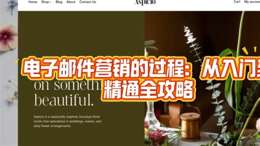 电子邮件营销的过程：从入门到精通全攻略！ 电子邮件营销的过程完整解析！EDM邮件营销的关键步骤？