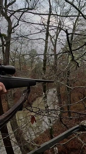 Buck Down! Intense First Person Hunt Action!