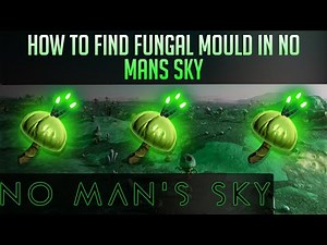 How to get Fungal Mould in No Man's Sky