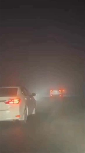 Misty Fog Video Compilation