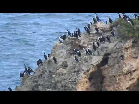 How Far Can It See? The Nikon P900 83x Zoom Test, Part 1