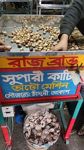 Digital Areca Nut Cutting Machine | Sadi Agro