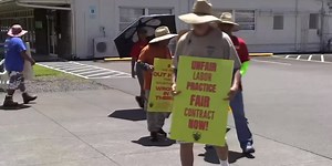 ‘A lose, lose situation’: Tension grows as Hawaii gas workers strike continues