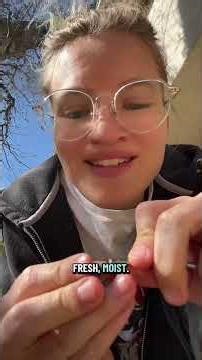 How to shell pecans #beginner #shelling #sustainableliving #pecans