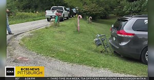 Woman learns hard way not all delivery drivers carry the correct insurance