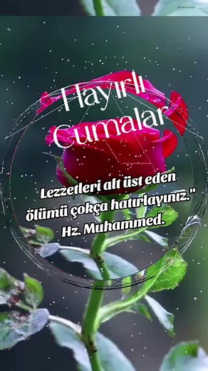 Lezzetleri alt üst eden ölümü çokça hatırlayınız.