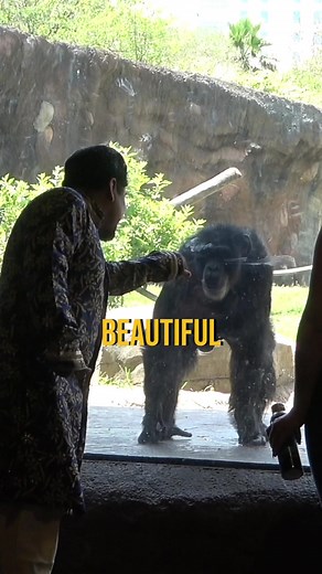Funny Moments at the Zoo with Baljeet and Animals