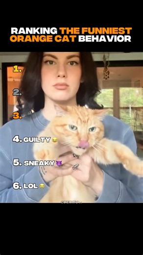 Orange Cats Being DRAMATIC 😭