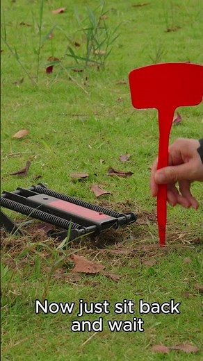 How to Set the POLAFLEX Mole Trap — Fast, Safe & Proven Effective #moletrap #POLAFLEX #pestcontrol