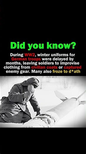 Why Germans Were Forced to STEAL SOVIET Coats! #ww2 #history