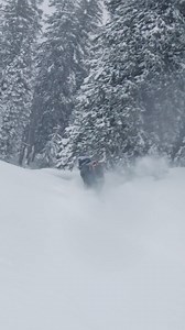 If you think you know Snowbird, think again. Experience the mountain in a whole new way with our guided cat skiing, multi-day helicopter skiing & more. | Snowbird | Facebook