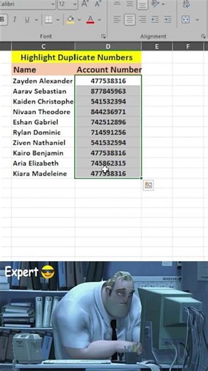 Highlight Duplicate Values in Excel | Conditional Formatting Guide