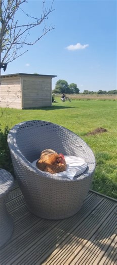 Living her best life | Lincoln Yurts