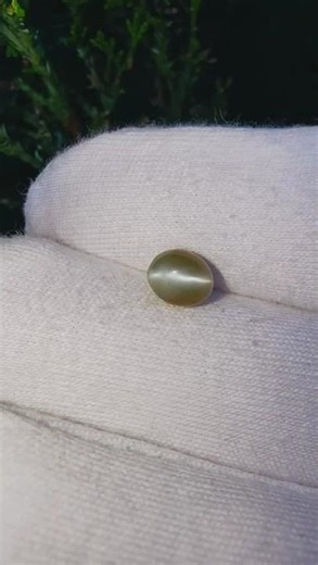 Natural Chrysoberyl Cat’s Eye 2.89ct Ceylon 🐱 Rare Sharp Eye Effect | Collector Gemstone