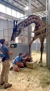 3.2M views · 10K reactions | This is such exciting progress, we had...