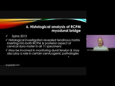 The Three Most Important Muscles in Your Neck? Myodural Bridges - RCPM, RCPmi, OCI