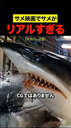 サメ映画でサメがリアルすぎる件