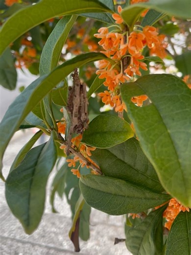 Miyuki Watanabe on Reels