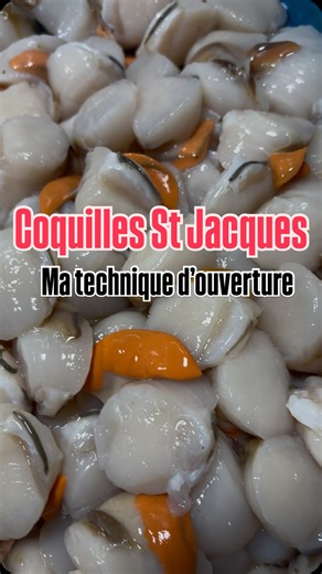 🎥 “Vous êtes nombreux à m’avoir demandé une vidéo sur la technique d’ouverture des coquilles Saint-Jacques” 🐚 Aujourd’hui je vous montre ma méthode simple et efficace 👇 💡 Mon petit conseil : Quand on a des kilos et des kilos à ouvrir, le secret c’est pas la force — c’est les gestes courts et précis. Moins tu bouges, plus t’es rapide… et moins tu te fatigues 💪 Chaque mouvement doit être utile, fluide et précis ⚡️ Chaque poissonnier a sa méthode ! Partage la tienne en commentaire, j’adore déc