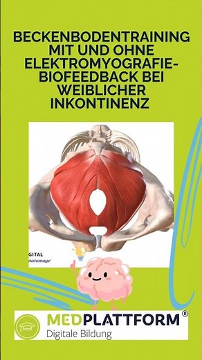 Beckenbodentraining mit und ohne Elektromyografie-Biofeedback bei weiblicher Inkontinenz
