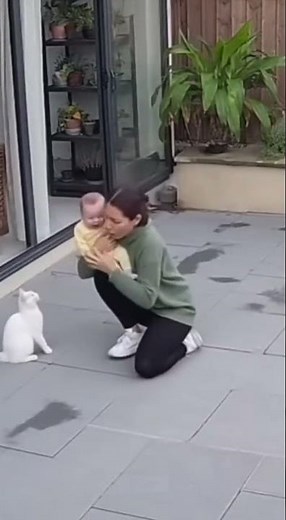 HERO CAT CATCHES Falling Baby! (Life-Saving Moment)