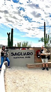 295K views · 10K reactions | We visited Saguaro National Park and got to see all the amazing  #nationalpark #nationalparks #saguaro #saguaronationalpark #cat #cats #catsofinstagram #mainecoon | Fisher The Maine Coon | Facebook