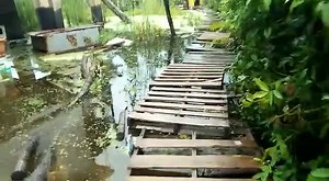 32K views · 465 reactions | Current situation in an area along Antelope Street Extension in Belize City. | News 5 Live | Facebook