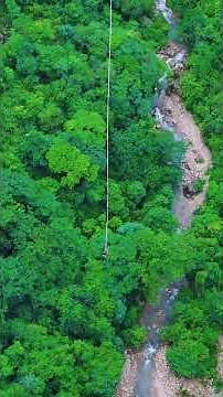 Is this the last cry of July? Zhangjiajie glass bridge bungee jumping