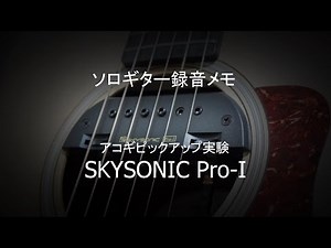 SKYSONIC Pro1 ピックアップ実験