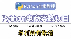 【Python教程】Python教程之电商实战项目，干货满满，不容错过