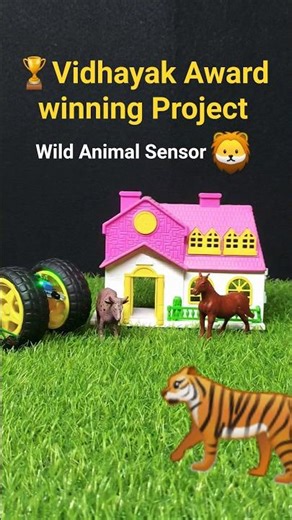 wild animal protection sensor stops tigers?