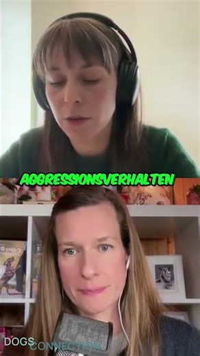 Dog paw care: How to avoid aggression #shorts