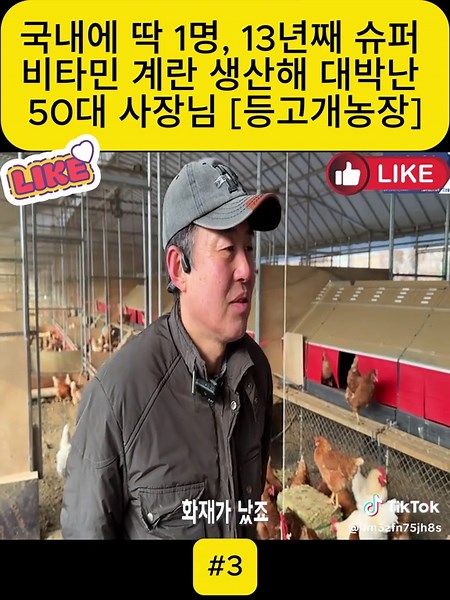 13년째 슈퍼 비타민 계란 생산하는 50대 사장님