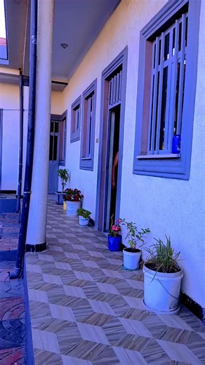 Mulebest28 (@mulebest285)’s videos with original sound - mahi mahi ❤️❤️