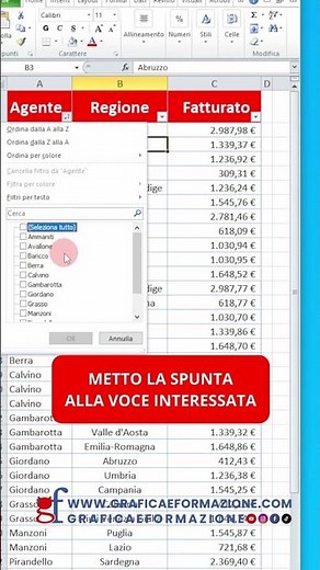 Tutorial Excel: come usare il FILTRI ☺