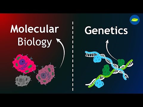 Molecular Biology vs Genetics | Scope | Opportunities | Basic Science Series