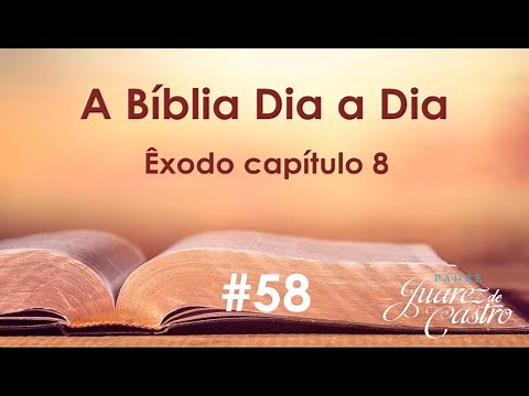 Bible Course #58 - Exodus Chapter 8 - Plague of Egypt: Frogs, Mosquitoes, Flies - Father Juarez d...