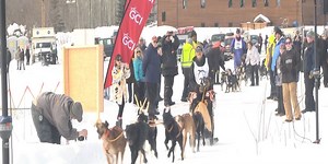 Alaska Dog Mushers Association prepare for first races of 2021