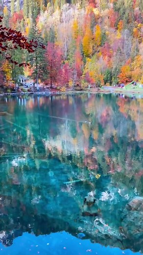 Magical Mermaid Encounters in Switzerland
