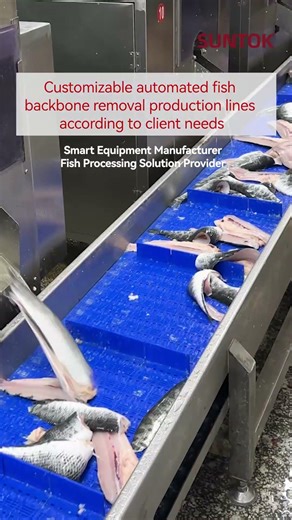 Fish filleting machine for snakehead