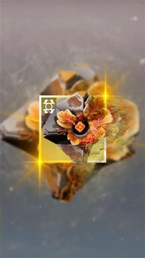 Most Unique Cosmetic In Destiny 2!