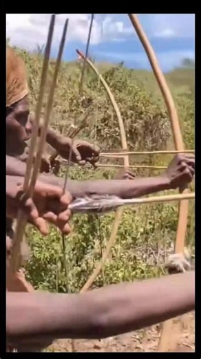 This is how someone hunts? You've never seen it before!#shorts #wildlife #hunting