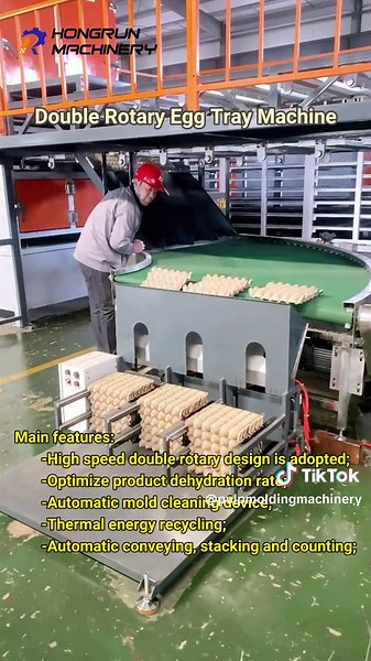 Advanced Double Rotary Egg Carton Machine for High-Speed Production