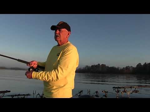 Crappie Fishing On Santee Cooper Lakes