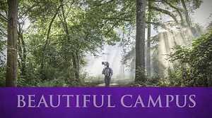 13K views · 728 reactions | SFA’s campus is nestled in the beautiful East Texas Piney Woods. See why Lumberjacks make great hikers, bikers and explorers. | Stephen F. Austin State University | Facebook