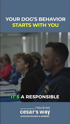 Your Dog’s Behavior Starts With You