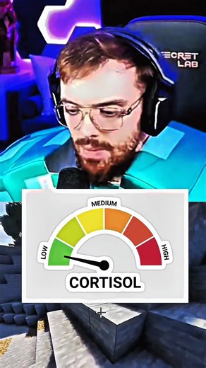 Ibai and Auron playing Minecraft 😳😬 #ibai #auronplay #minecraft #edit #mtwitch