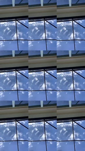 i have no caption😂 #fyp #daisy #flying #foryoupage #viral