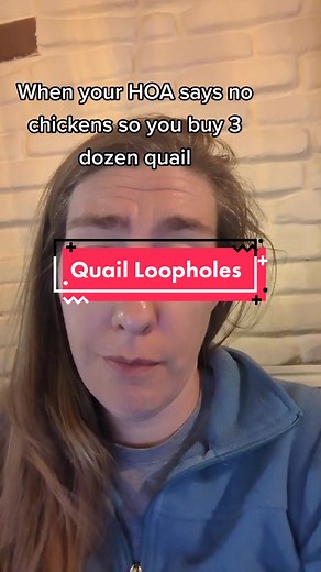 Backyard Quail: The Perfect Solution for Urban Homesteading